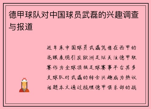 德甲球队对中国球员武磊的兴趣调查与报道