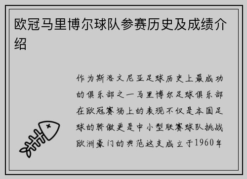 欧冠马里博尔球队参赛历史及成绩介绍